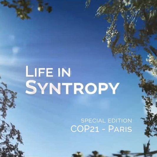 Video - Life in Syntropy