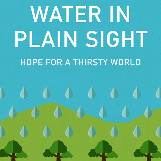 Book - Water in Plain Sight