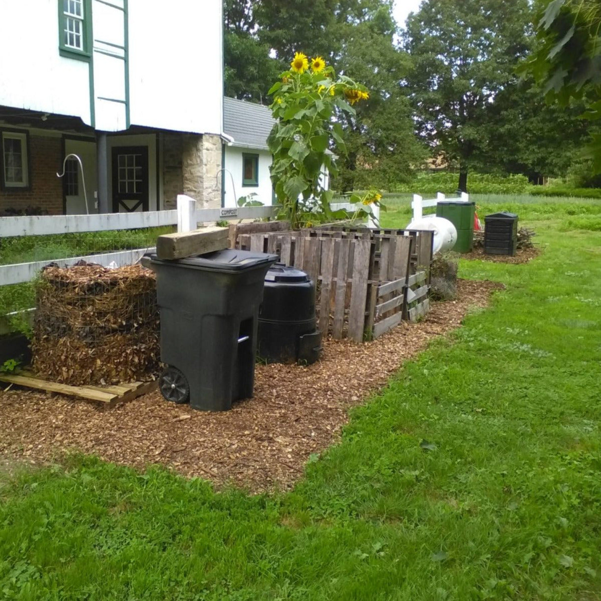 Article Backyard Composting Basics A Cheat Sheet Soil Centric