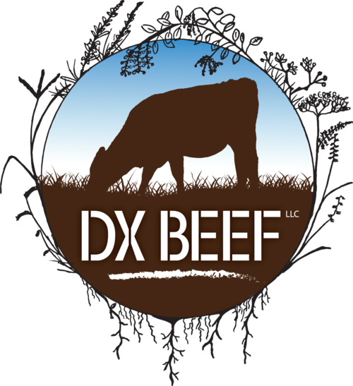 DX Beef
