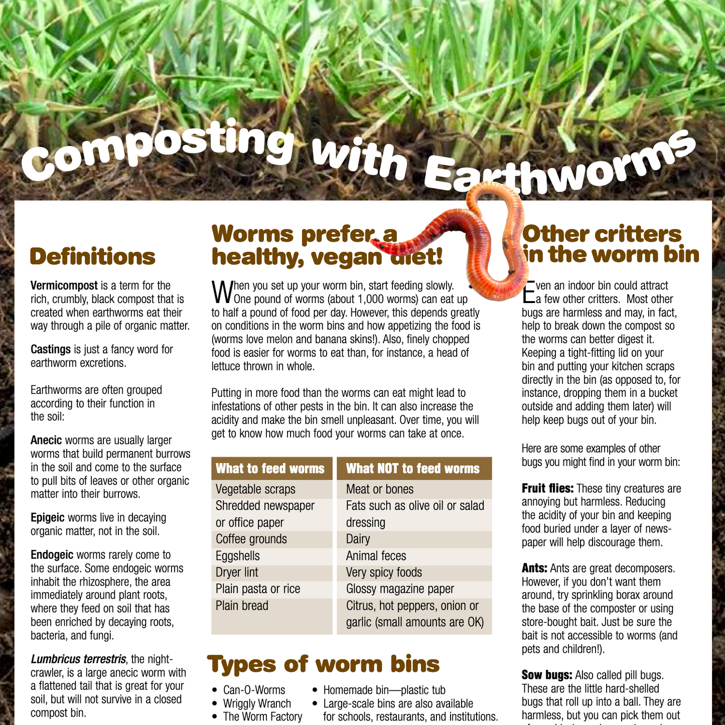 Article - Composting With Earthworms