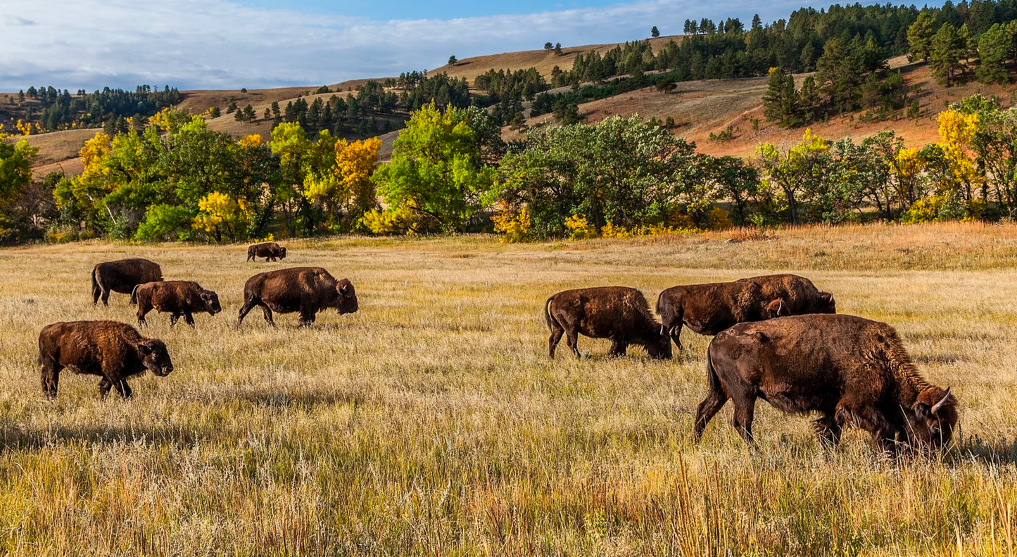 The Intertribal Agriculture Council