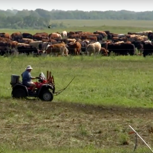 Video: A classic overview with the Soil Carbon Cowboys
