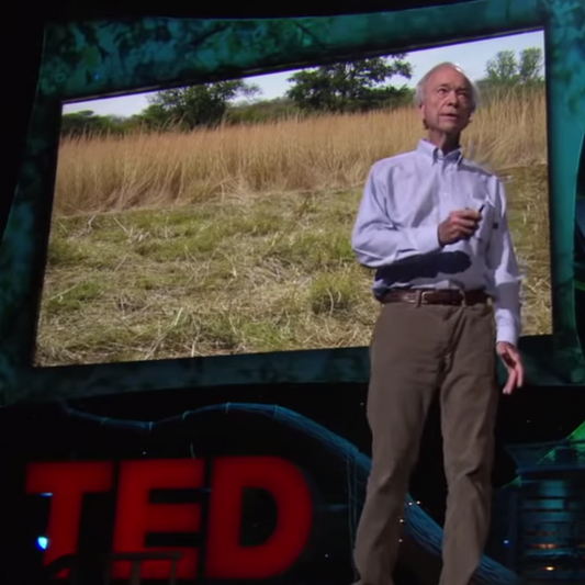 Video: How to green the world's deserts and reverse climate change