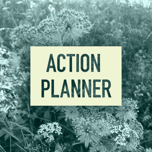 Action Planner - Alex's Action Planner