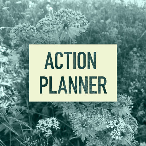 Action Planner - Andrea's Action Planner