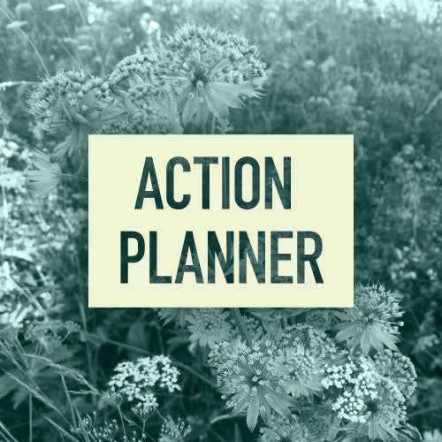 Action Planner - Kourtnii's Action Planner