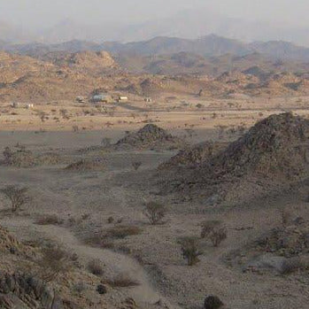 Video - The Story of Al Baydha: A Regenerative Agriculture in the Saudi Desert