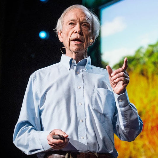 Video - How to green the world's deserts and reverse climate change