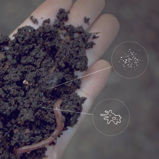 Video - Soil Solutions to Climate Problems