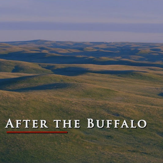 Video - DX Beef - After the Buffalo
